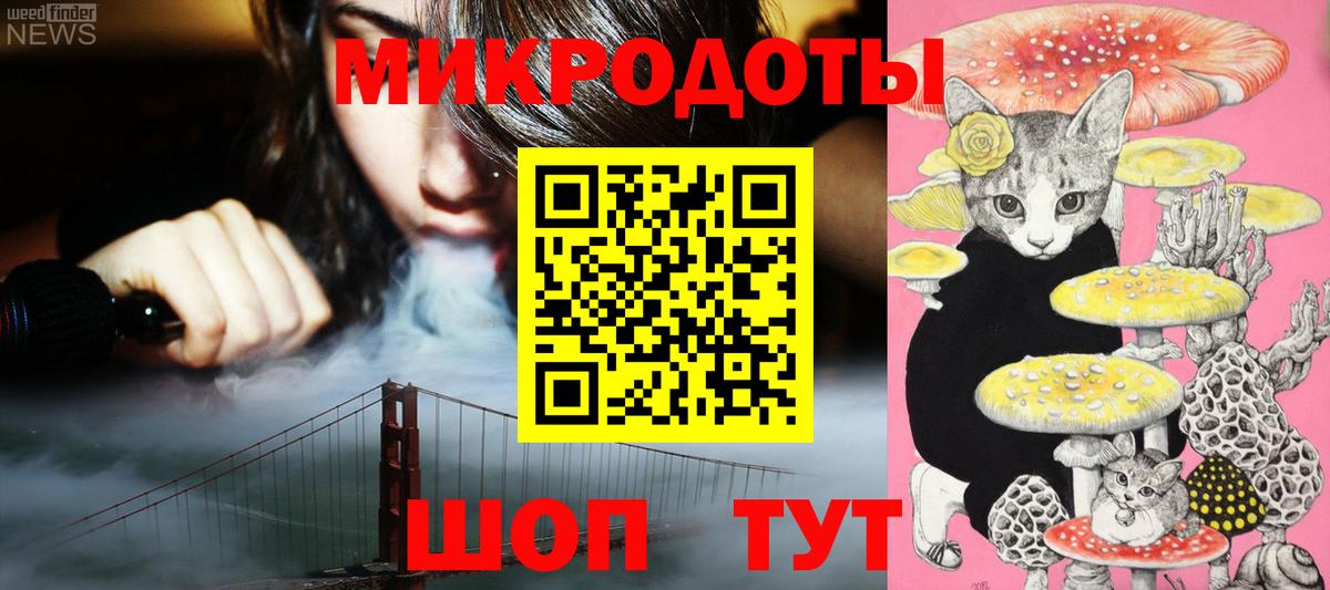 Псилоцибиновые грибы Cubensis Лениногорск